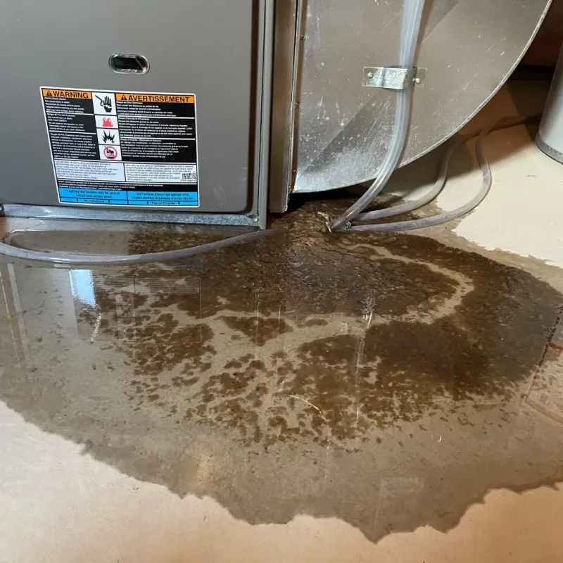 Appliance Leak Cleanup in East Setauket, NY